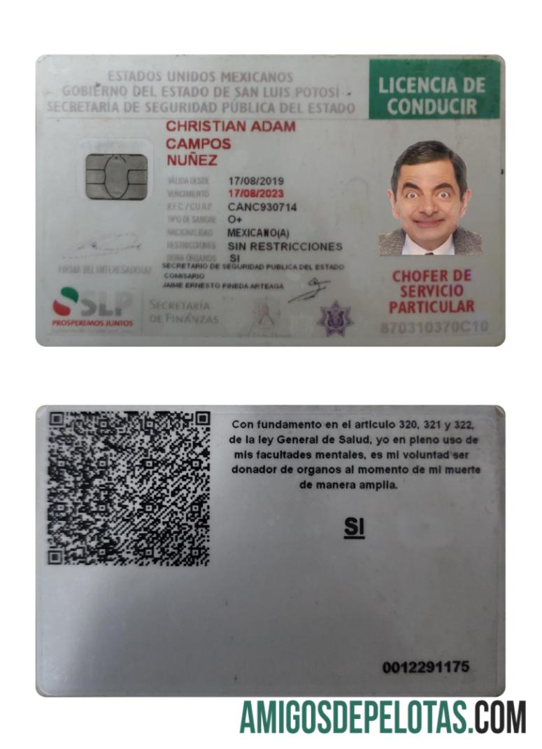 Carteira de motorista do México 2019 presente amostra